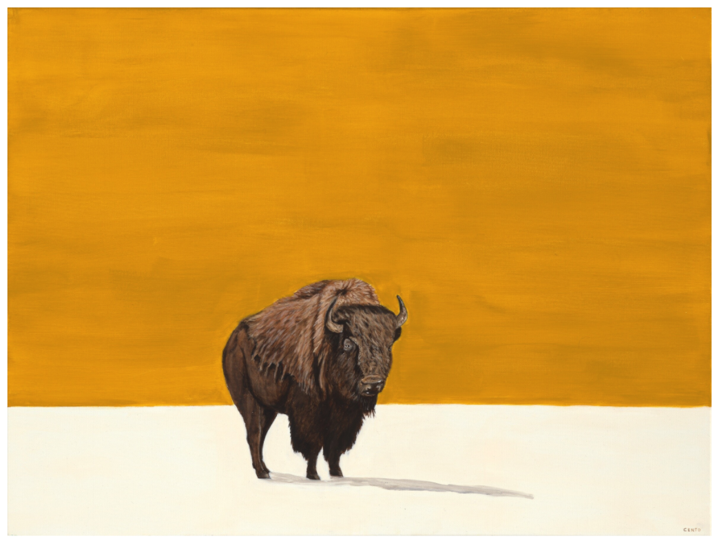 White Earth - Summer - Fine Art Print