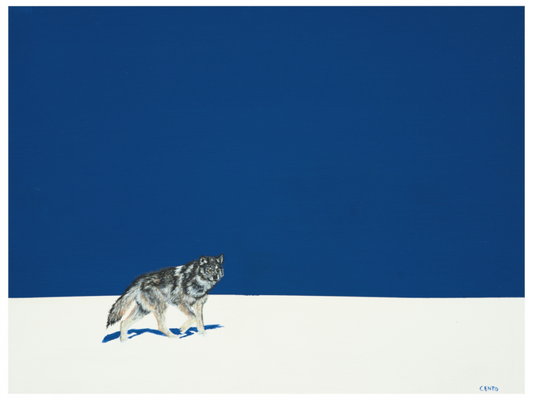 Main image White Earth - Ojibwe Girl