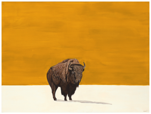 White Earth - Summer - Fine Art Print