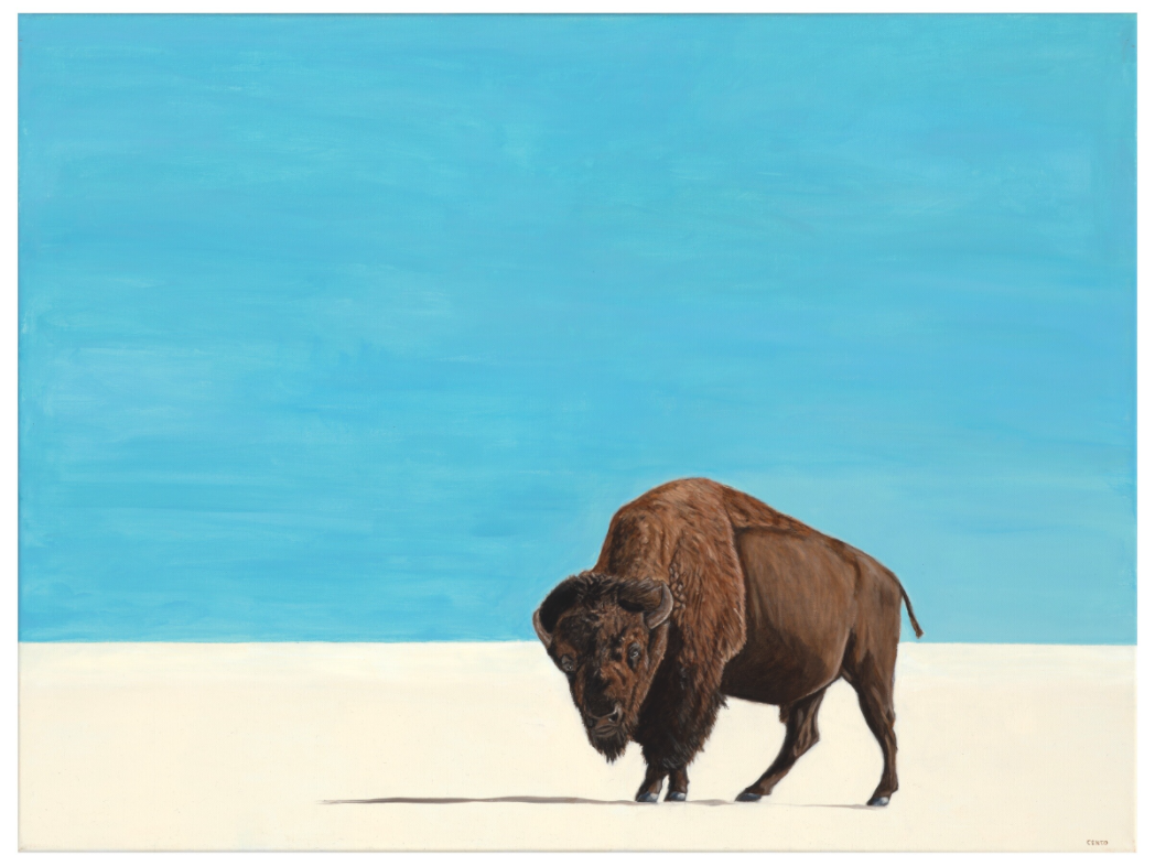 Main image White Earth - Winter