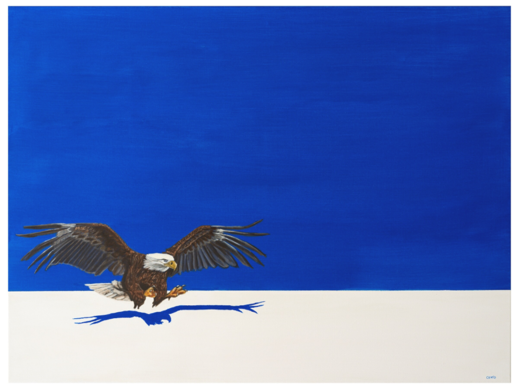 Main image White Earth - Eagle