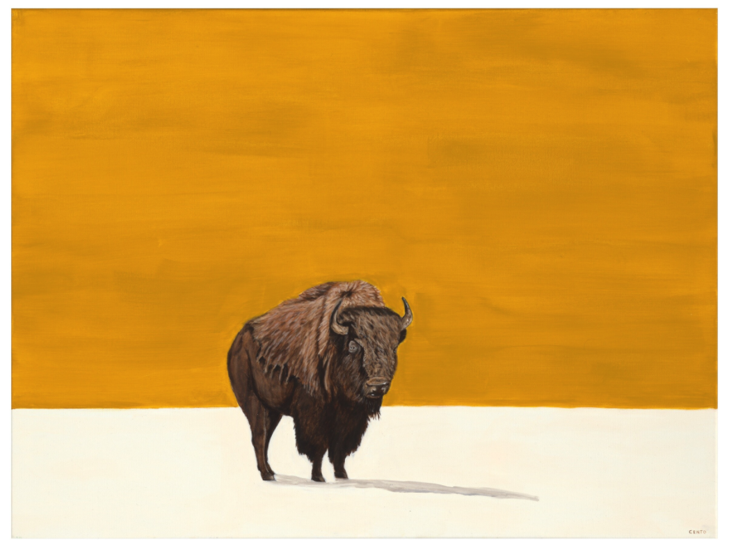 Main image White Earth - Summer