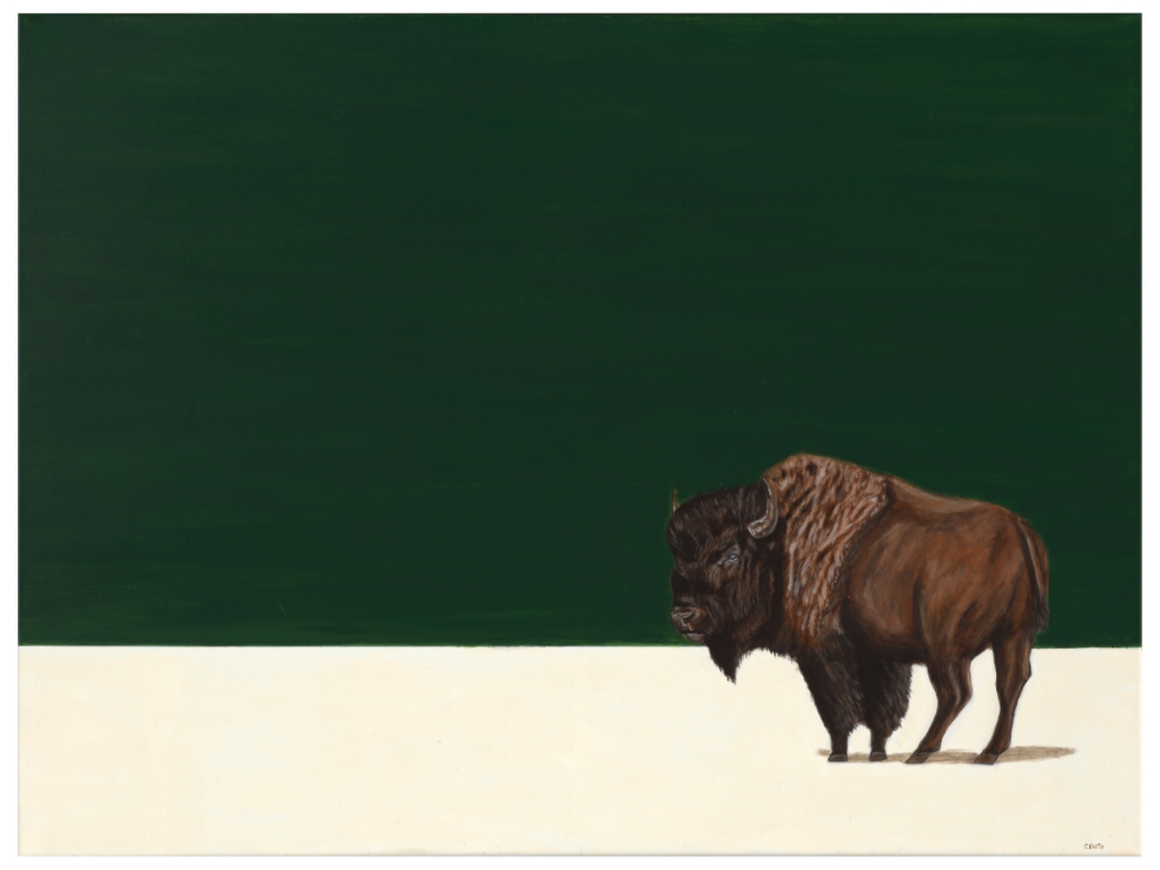 Main image White Earth - Spring