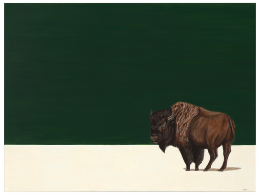 Main image White Earth - Spring