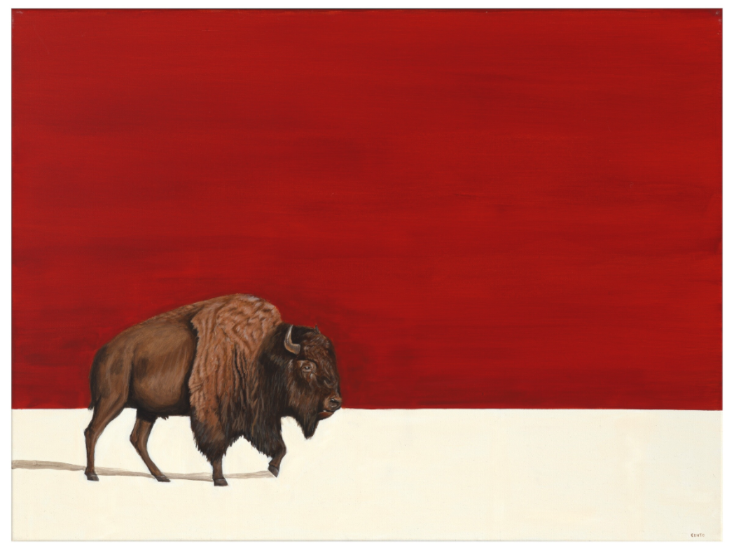 Main image White Earth - Fall